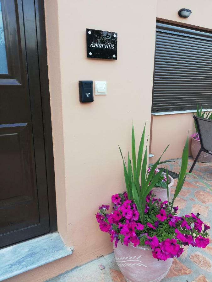 Dimitra - Loft Apartments Corfu  ภายนอก รูปภาพ